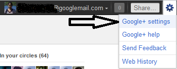 google-plus-options1 google plus options