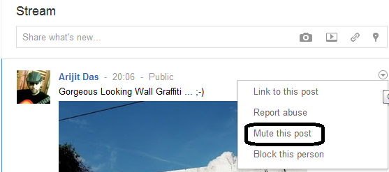 muting-posts-in-stream how to mute posts in your google plus stream