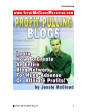 Profit pulling blogs