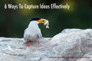 6-Ways-To-Capture-Ideas-Effectively