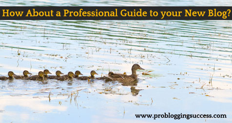 How-About-a-Professional-Guide-to-your-New-Blog