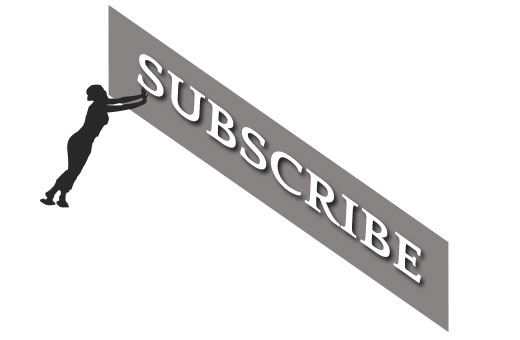 WP-Subscribers-ReviewImage1