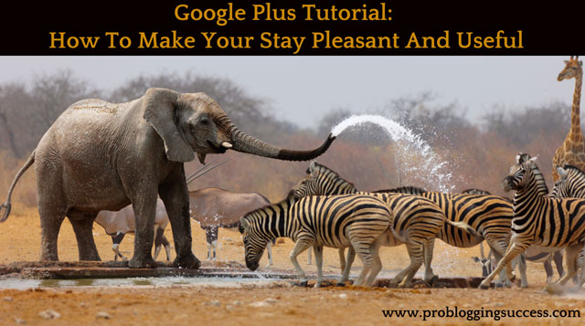 Google Plus Tutorial: How To Make Your Stay Pleasant And Useful