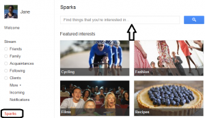 Google plus sparks feature