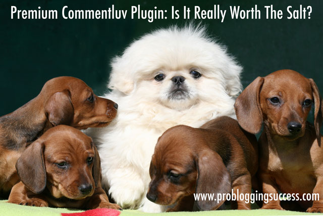 Premium-Commentluv-Plugin
