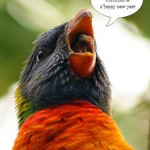 Merry Christmas And Happy New Year Singing Parrot