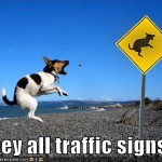 search engine traffic obey rules