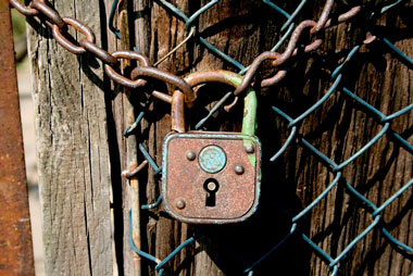 Timthumb-Vulnerability1