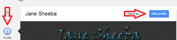 Author rank edit google plus profile