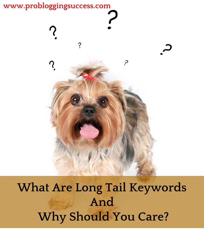 What Are Long Tail Keywords And Why Should You Care?