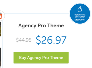 Agency-Pro-Theme-Pricing-(Discounted)